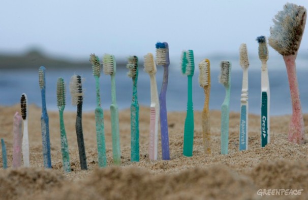 toothbrushes-found-during-a-be